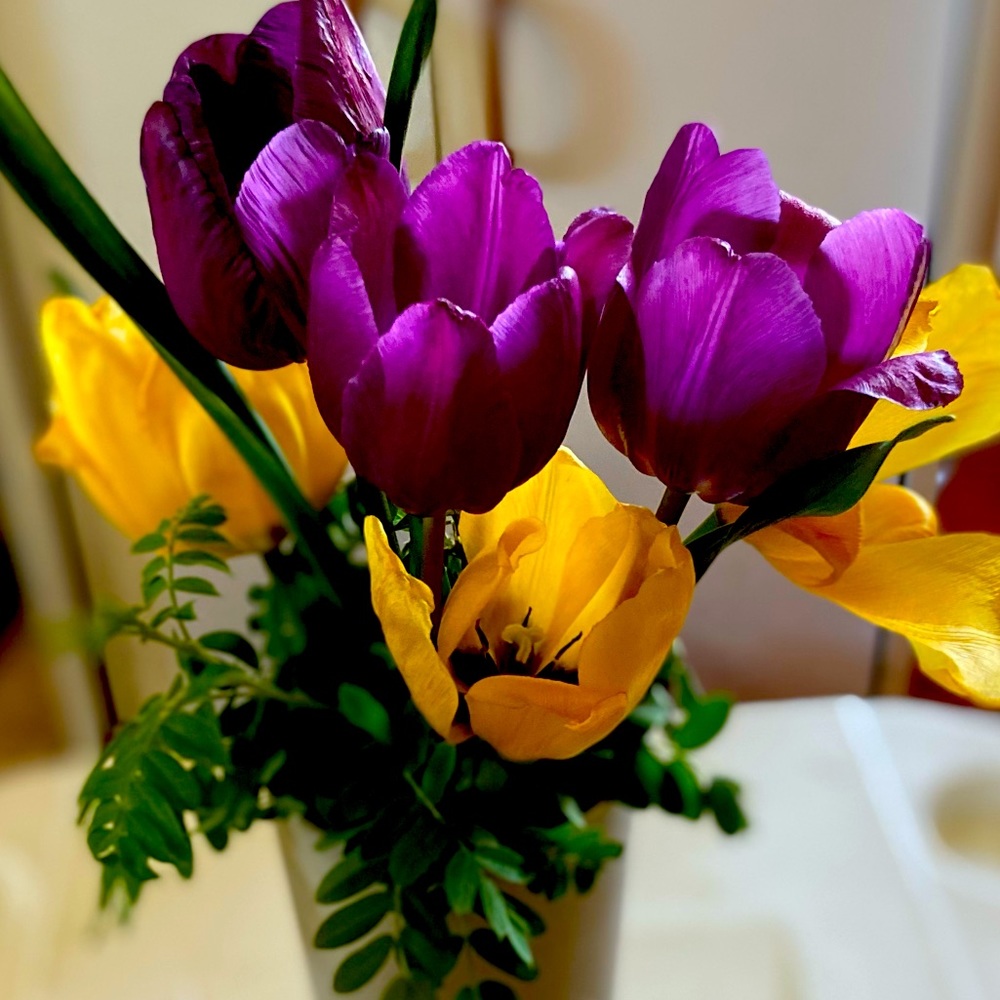 Meet your Posher, Jodi